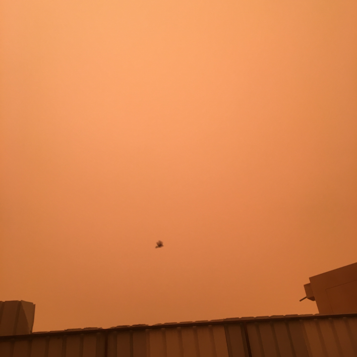 مشاركاتي في أنت الراصد