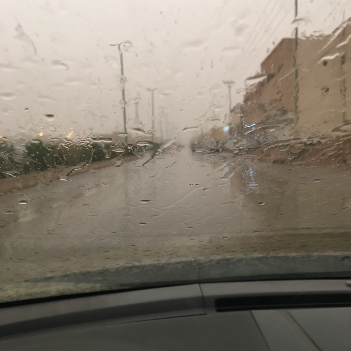 مشاركاتي في أنت الراصد