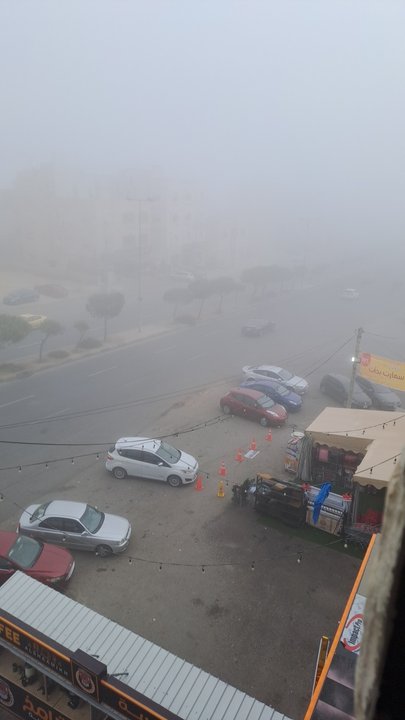 مشاركاتي في أنت الراصد