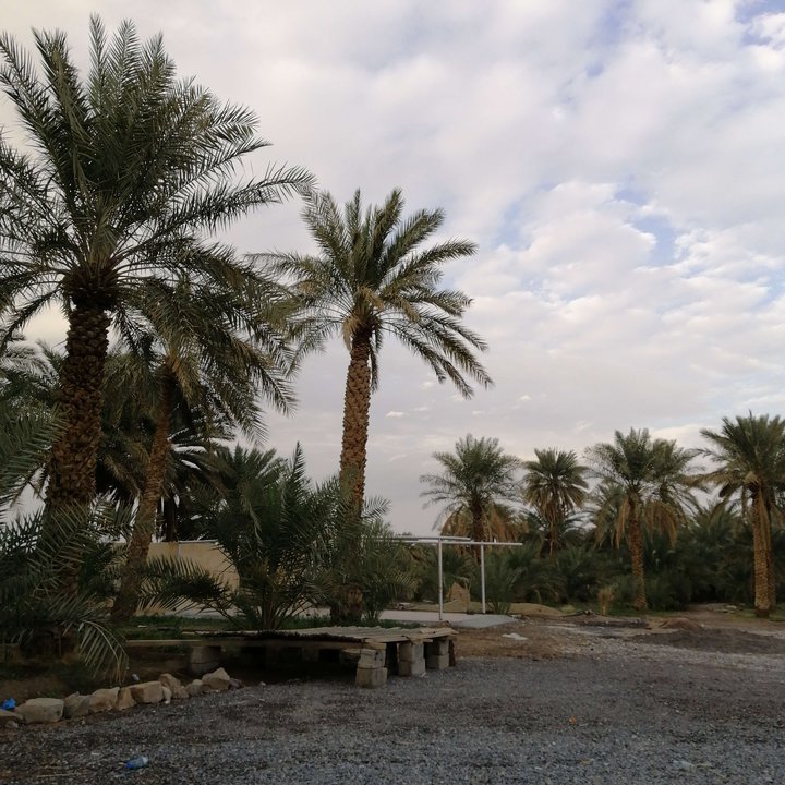 Mes publications Crowdsourcing