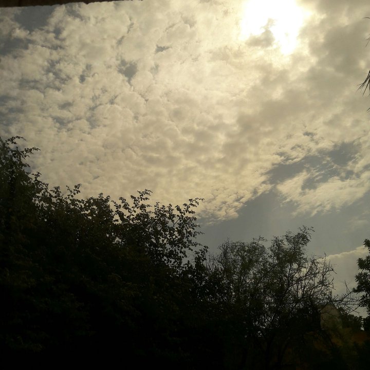 My Crowdsourcing Posts