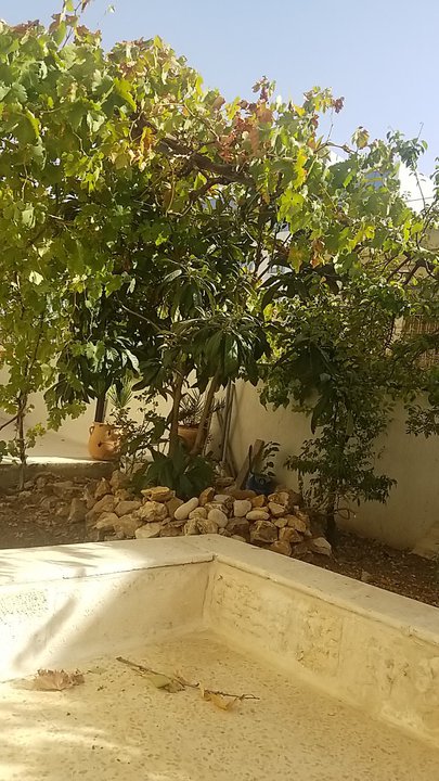 مشاركاتي في أنت الراصد