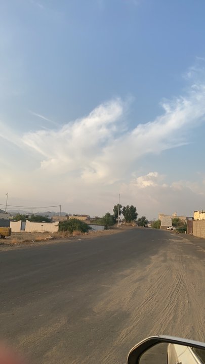 مشاركاتي في أنت الراصد