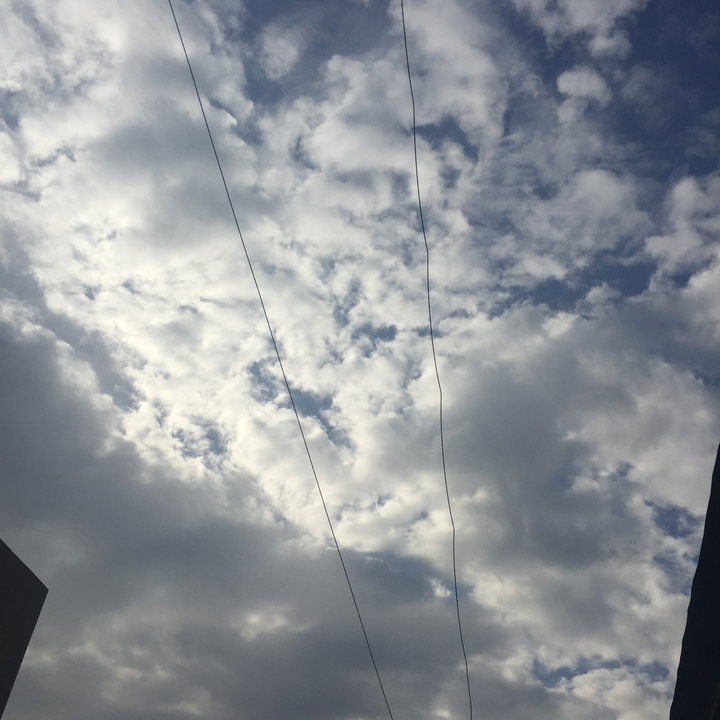 مشاركاتي في أنت الراصد