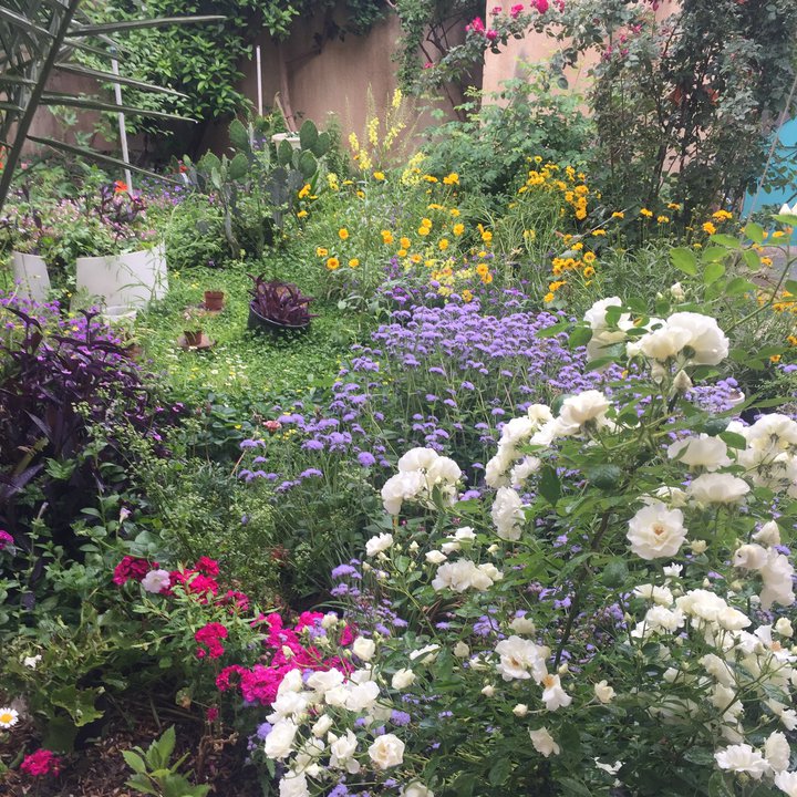 مشاركاتي في أنت الراصد