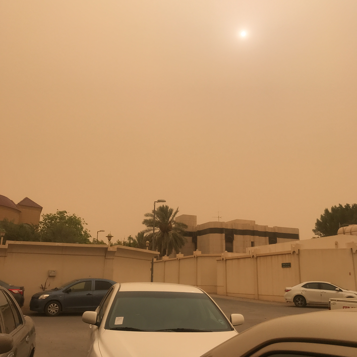 مشاركاتي في أنت الراصد