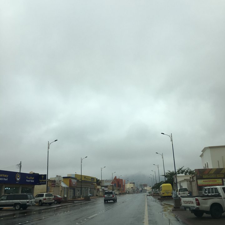 مشاركاتي في أنت الراصد