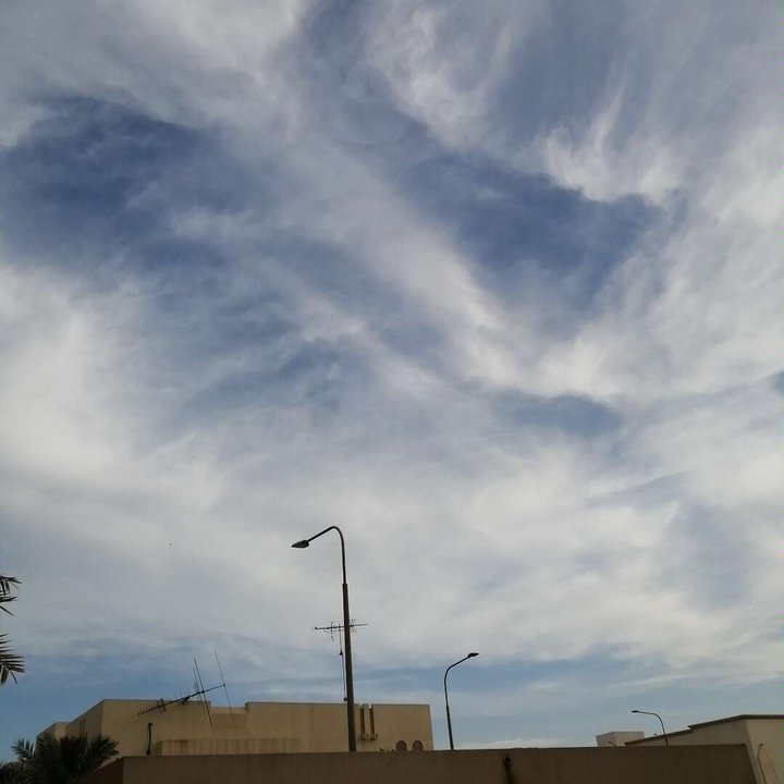 مشاركاتي في أنت الراصد