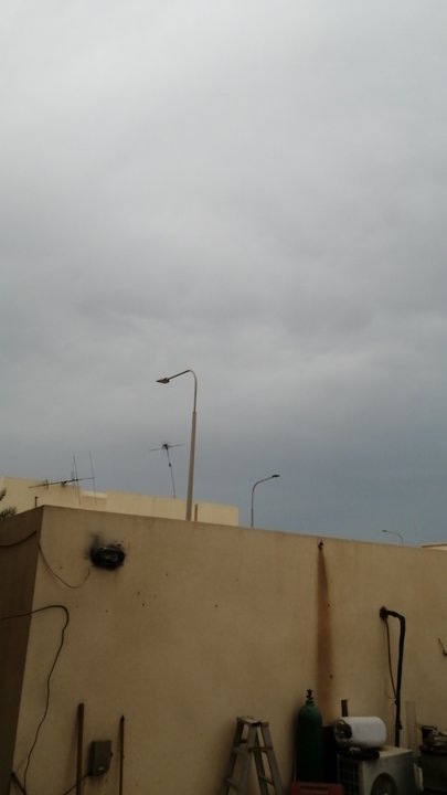 مشاركاتي في أنت الراصد