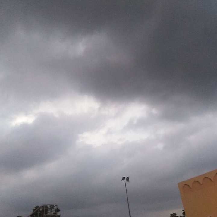 مشاركاتي في أنت الراصد