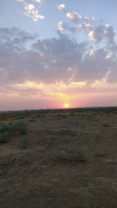 مشاركاتي في أنت الراصد