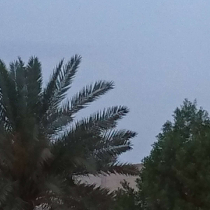 Mes publications Crowdsourcing