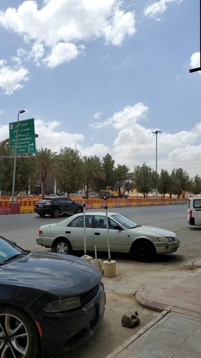 مشاركاتي في أنت الراصد