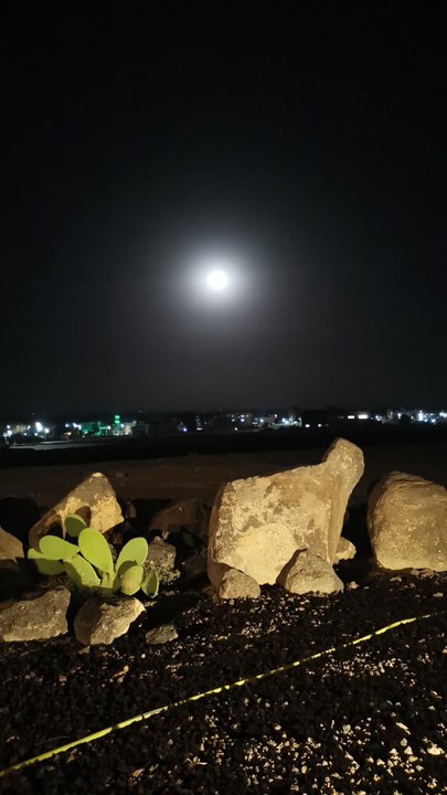 مشاركاتي في أنت الراصد