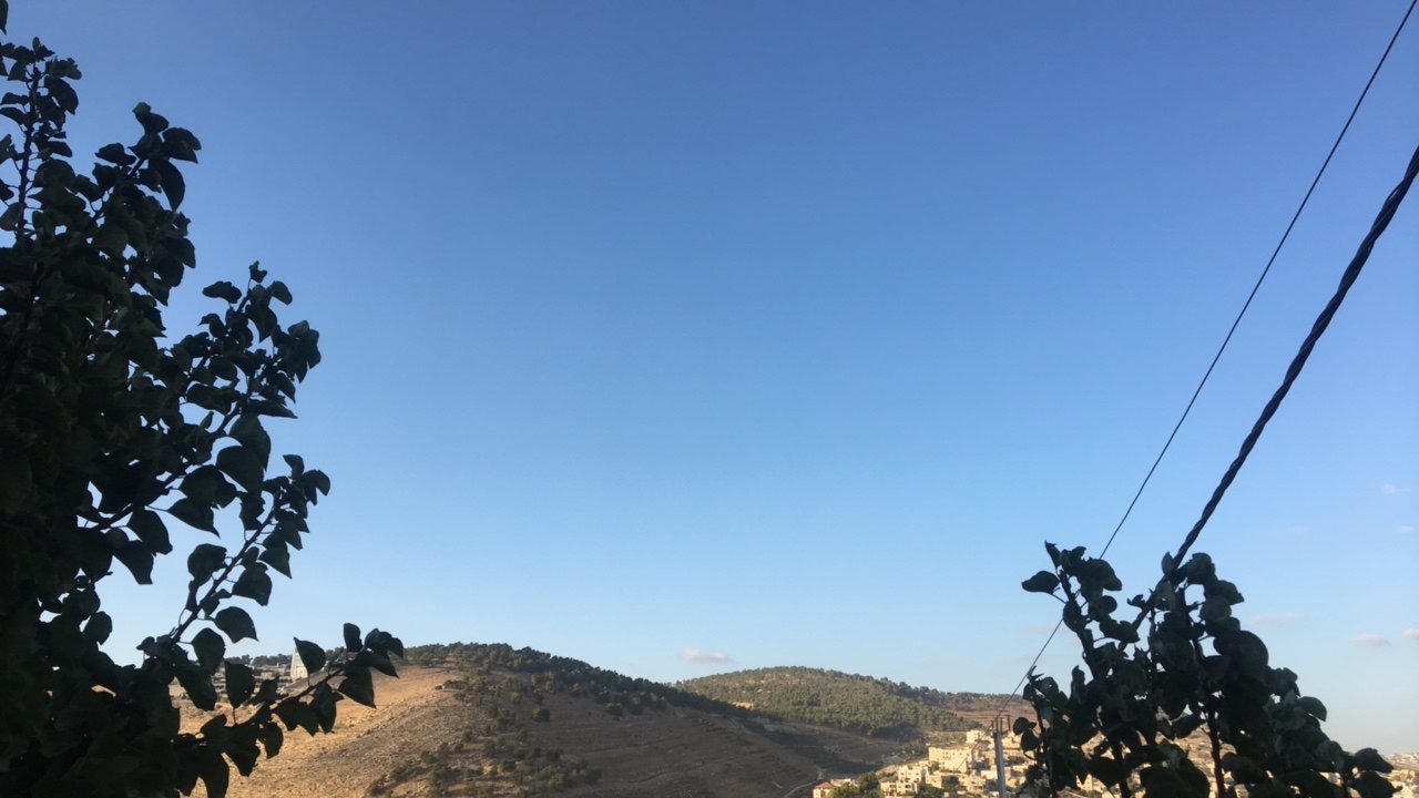 مشاركاتي في أنت الراصد