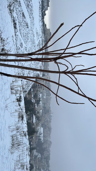 مشاركاتي في أنت الراصد