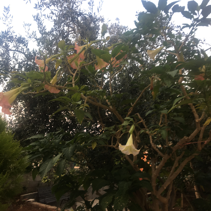 My Crowdsourcing Posts