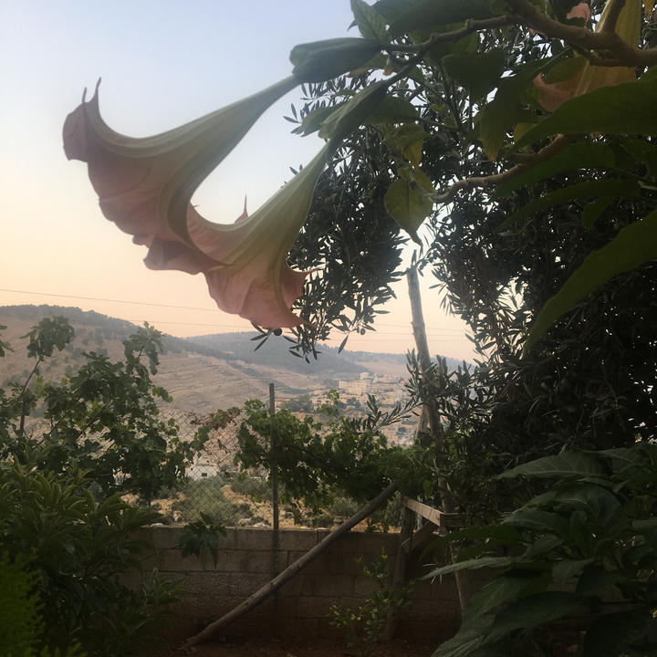 My Crowdsourcing Posts