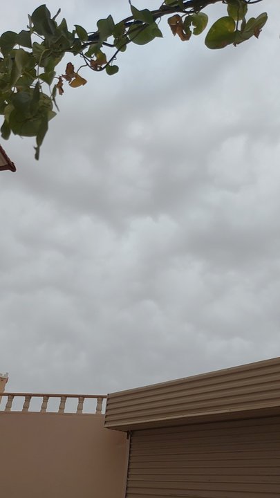 مشاركاتي في أنت الراصد