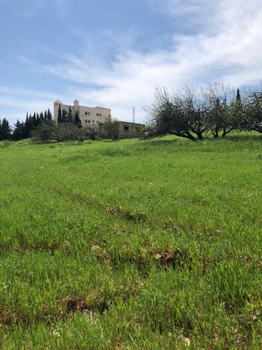 Mes publications Crowdsourcing