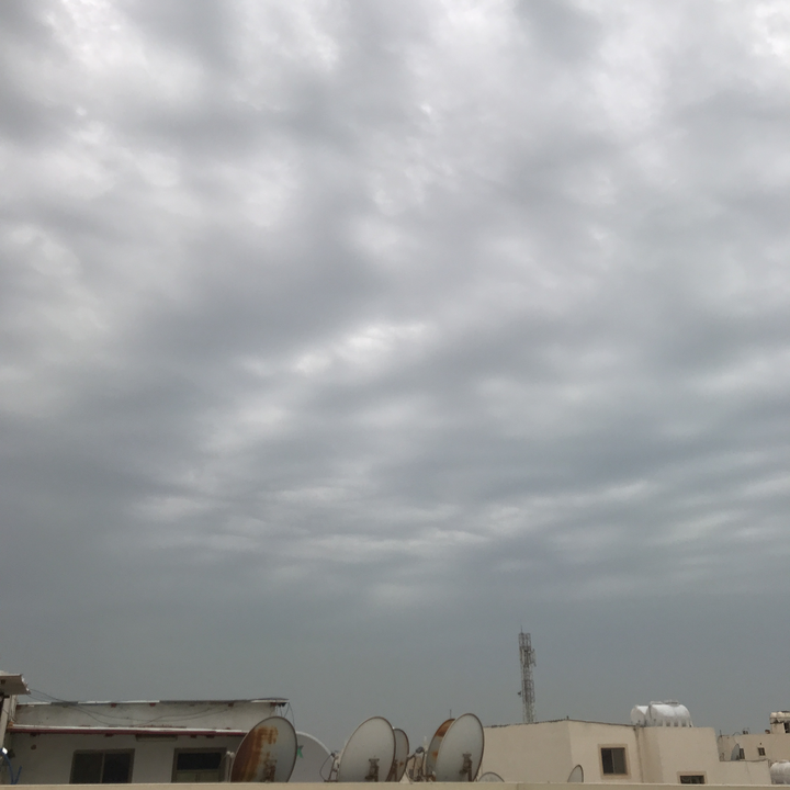 مشاركاتي في أنت الراصد