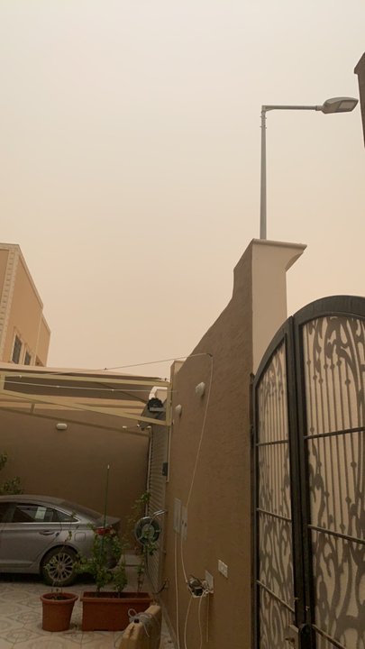 مشاركاتي في أنت الراصد