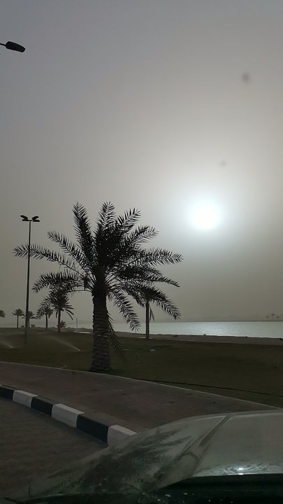 مشاركاتي في أنت الراصد