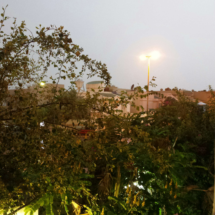 مشاركاتي في أنت الراصد