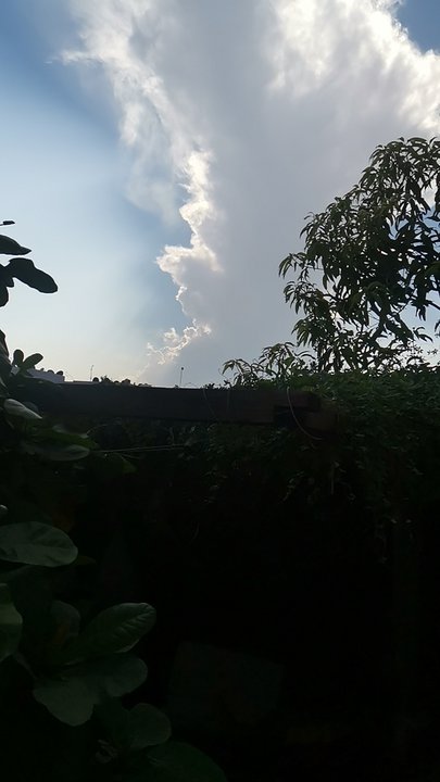 My Crowdsourcing Posts