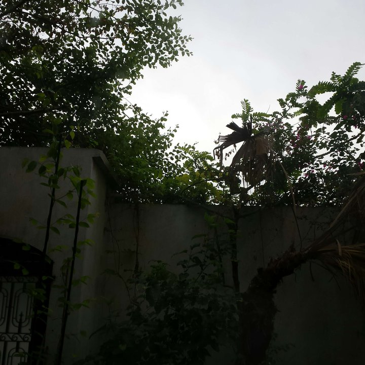 My Crowdsourcing Posts