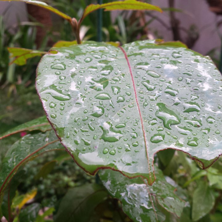 My Crowdsourcing Posts