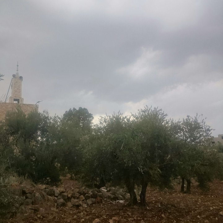 My Crowdsourcing Posts