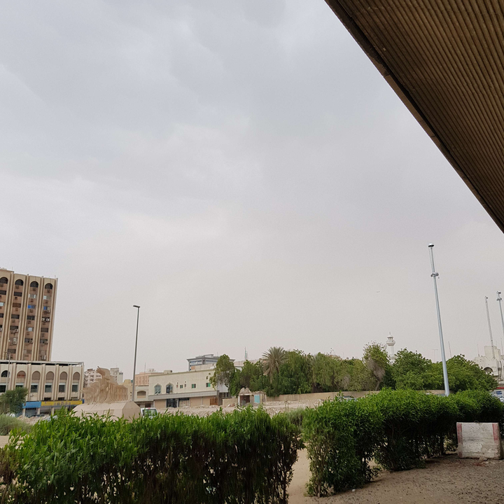 مشاركاتي في أنت الراصد