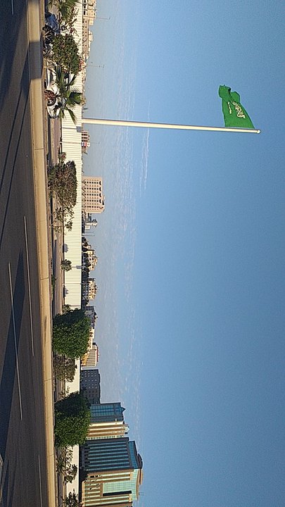 مشاركاتي في أنت الراصد