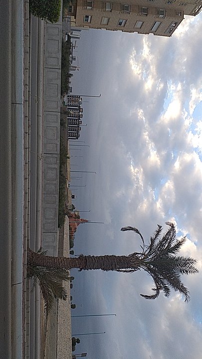 مشاركاتي في أنت الراصد