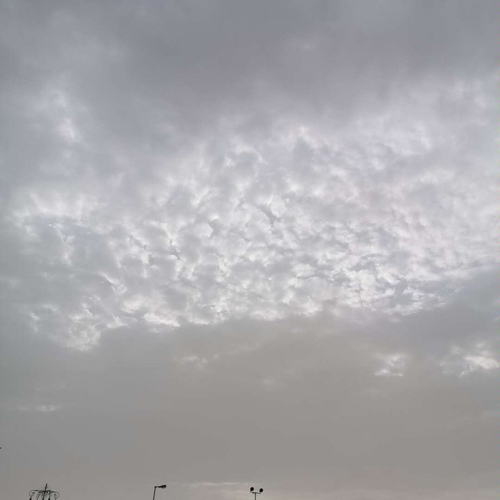 مشاركاتي في أنت الراصد