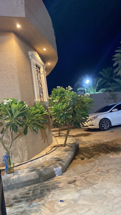 مشاركاتي في أنت الراصد