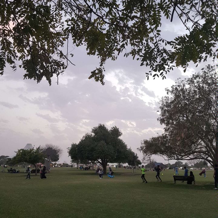 مشاركاتي في أنت الراصد