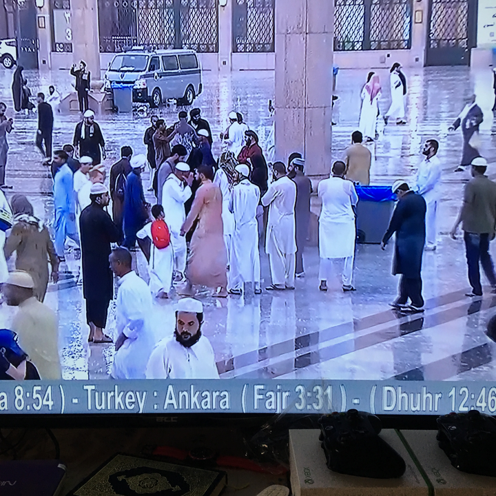 مشاركاتي في أنت الراصد