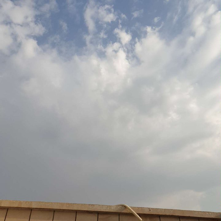 مشاركاتي في أنت الراصد
