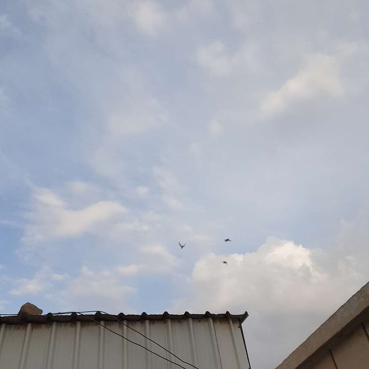 مشاركاتي في أنت الراصد