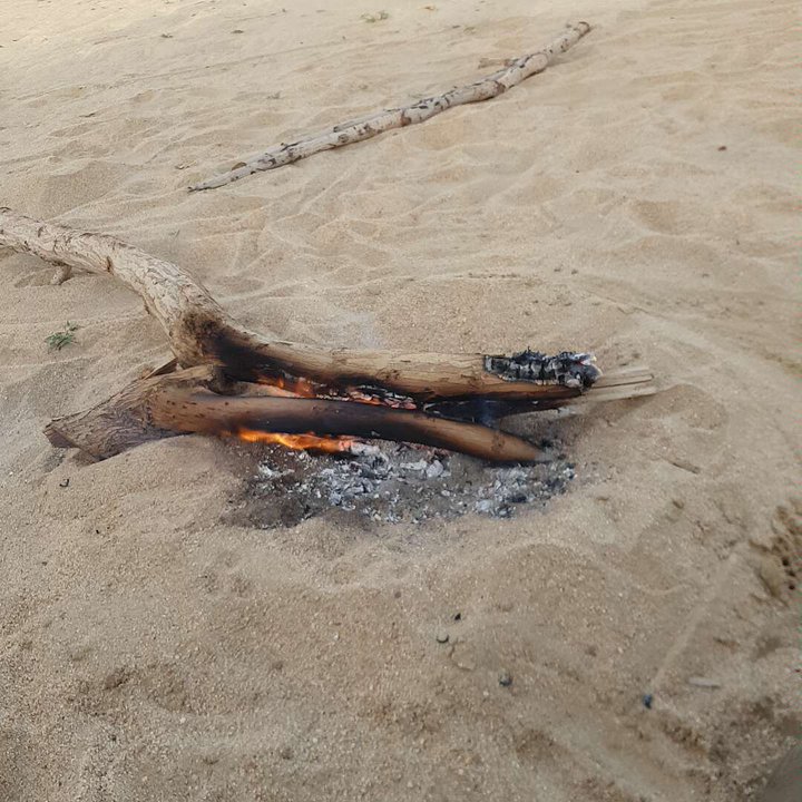مشاركاتي في أنت الراصد