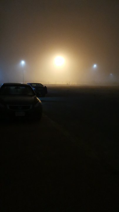 مشاركاتي في أنت الراصد