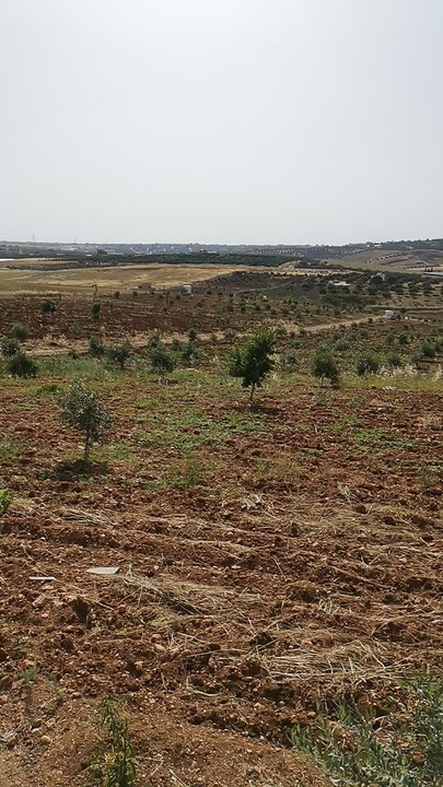 My Crowdsourcing Posts