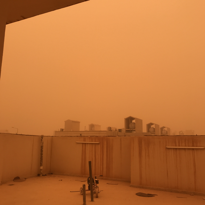 مشاركاتي في أنت الراصد