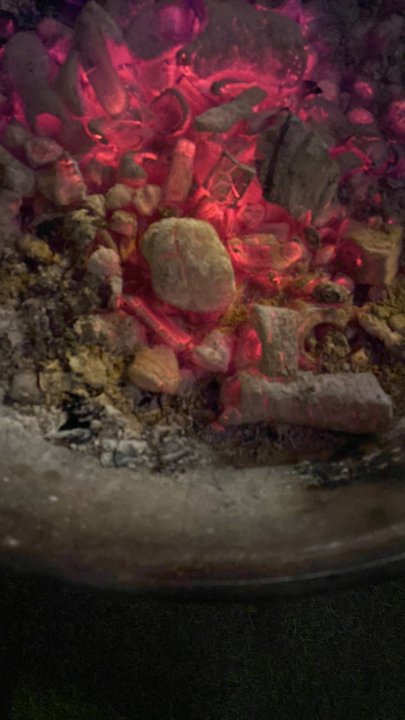 مشاركاتي في أنت الراصد