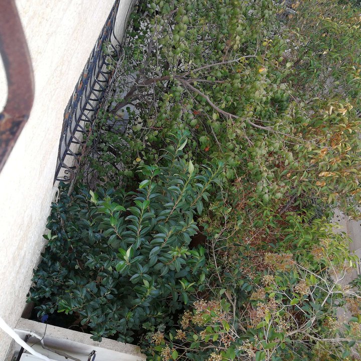 My Crowdsourcing Posts