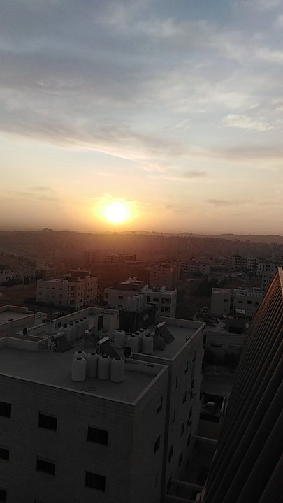 مشاركاتي في أنت الراصد