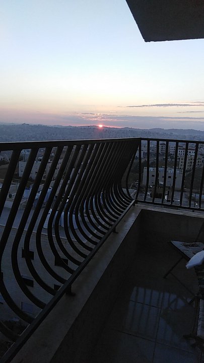 مشاركاتي في أنت الراصد