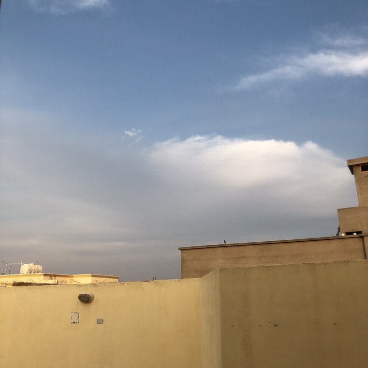 مشاركاتي في أنت الراصد